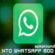 NTO WhatsApp